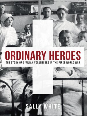 cover image of Ordinary Heroes